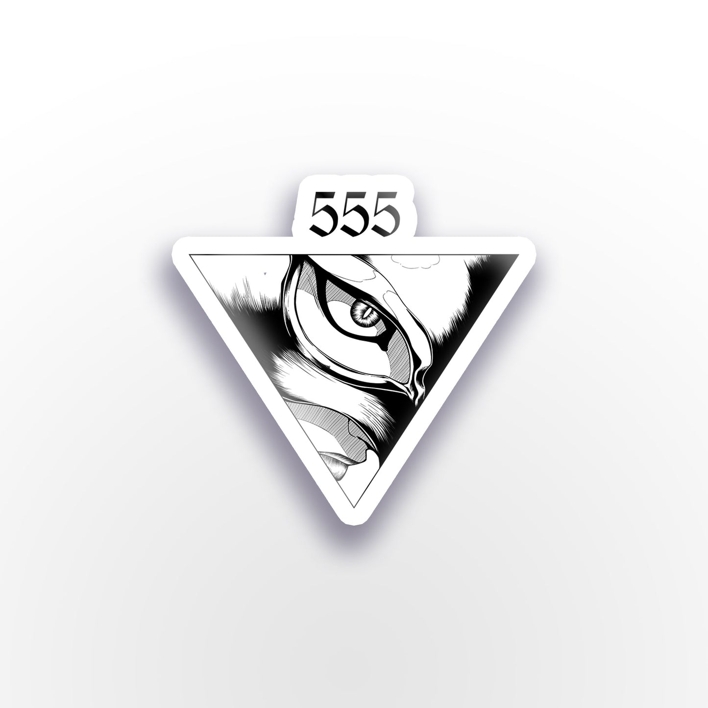 TT-BSRK003