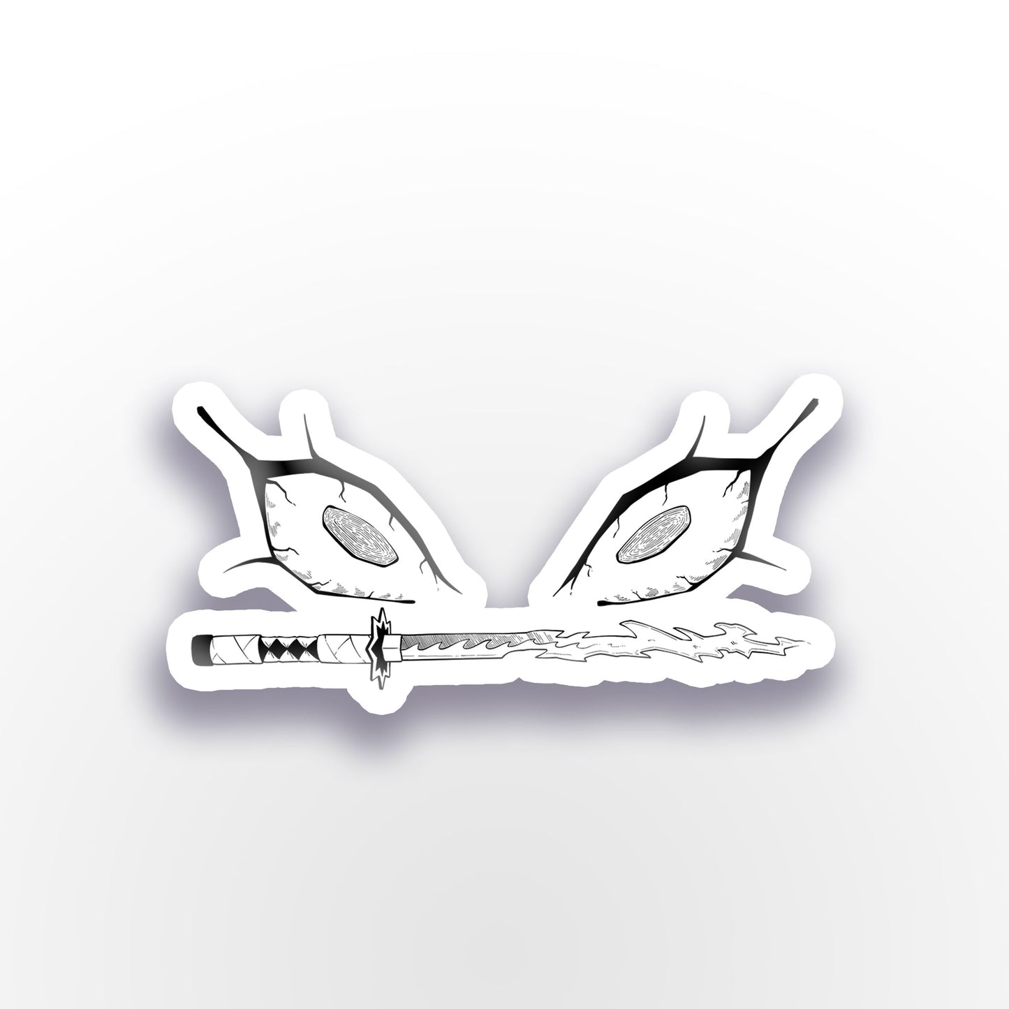 TT-DS024